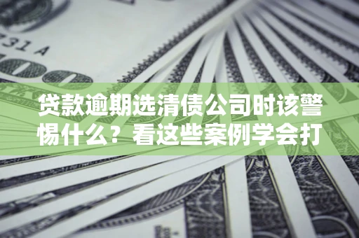武汉贷款逾期选清债公司时该警惕什么？看这些案例学会打翻身仗