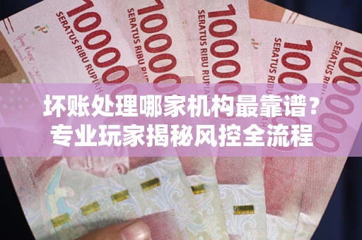 武汉坏账处理哪家机构最靠谱？专业玩家揭秘风控全流程