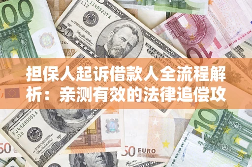 武汉担保人起诉借款人全流程解析：亲测有效的法律追偿攻略