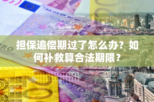 武汉担保追偿期过了怎么办？如何补救算合法期限？