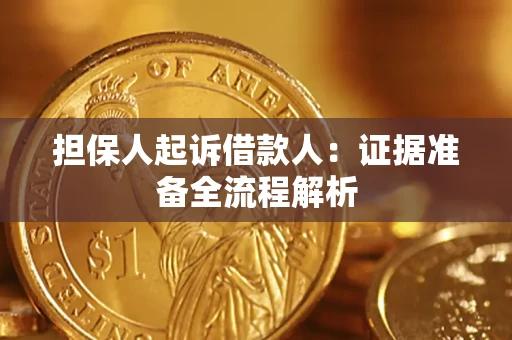 武汉担保人起诉借款人：证据准备全流程解析