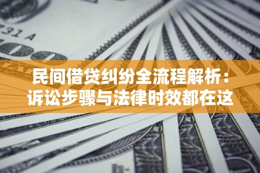 武汉民间借贷纠纷全流程解析：诉讼步骤与法律时效都在这儿了