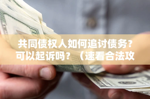 武汉共同债权人如何追讨债务？可以起诉吗？（速看合法攻略）