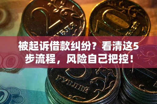 武汉被起诉借款纠纷？看清这5步流程，风险自己把控！