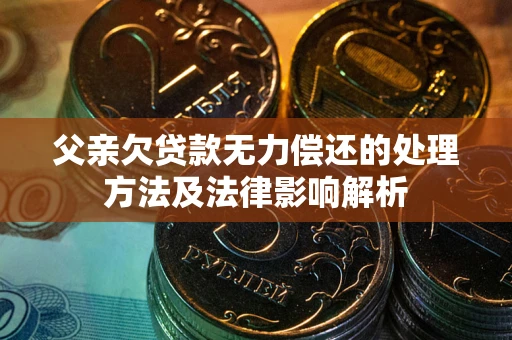 武汉父亲欠贷款无力偿还的处理方法及法律影响解析