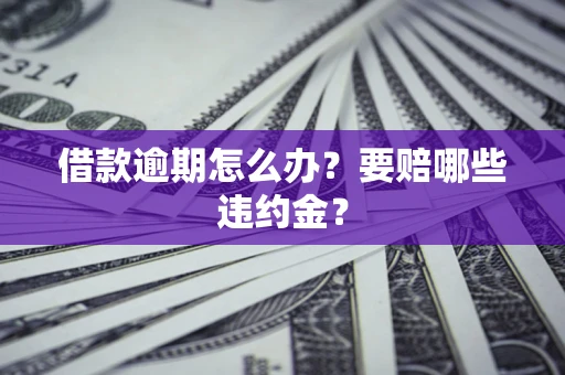 武汉借款逾期怎么办？要赔哪些违约金？