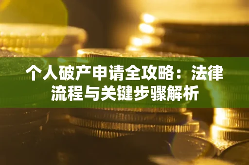 武汉个人破产申请全攻略：法律流程与关键步骤解析