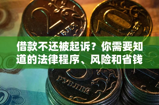 武汉借款不还被起诉？你需要知道的法律程序、风险和省钱技巧