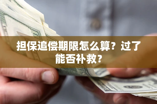 武汉担保追偿期限怎么算？过了能否补救？
